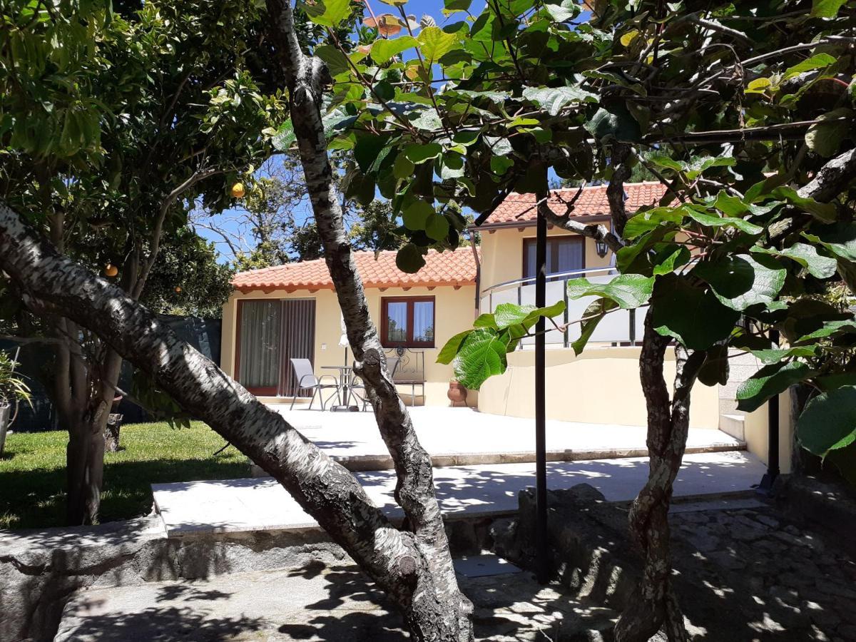 Casa De Santa Luzia A Apartment Vila Praia de Ancora Bagian luar foto