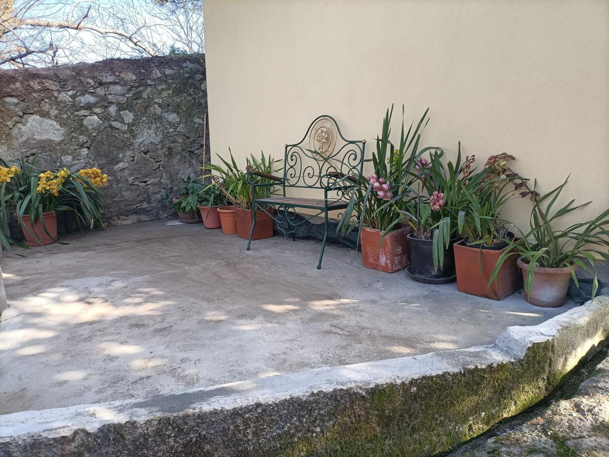 Casa De Santa Luzia A Apartment Vila Praia de Ancora Bagian luar foto